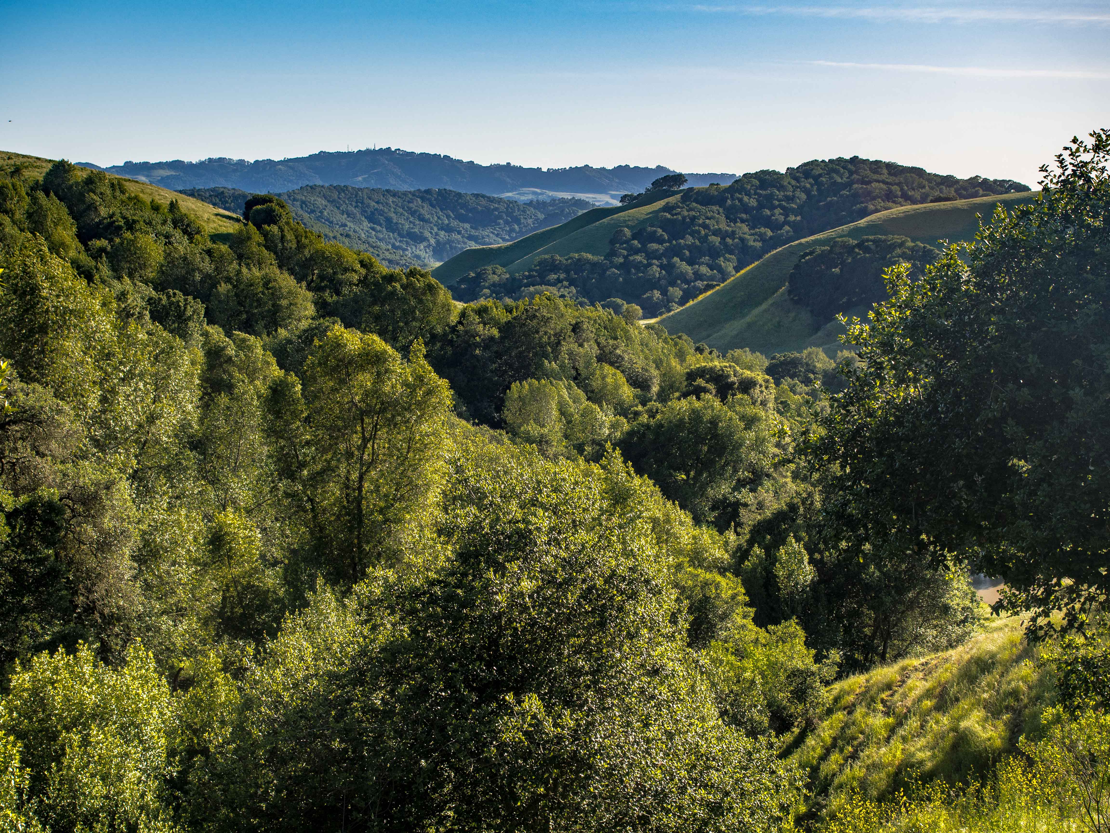 Briones Regional Park – renae.org